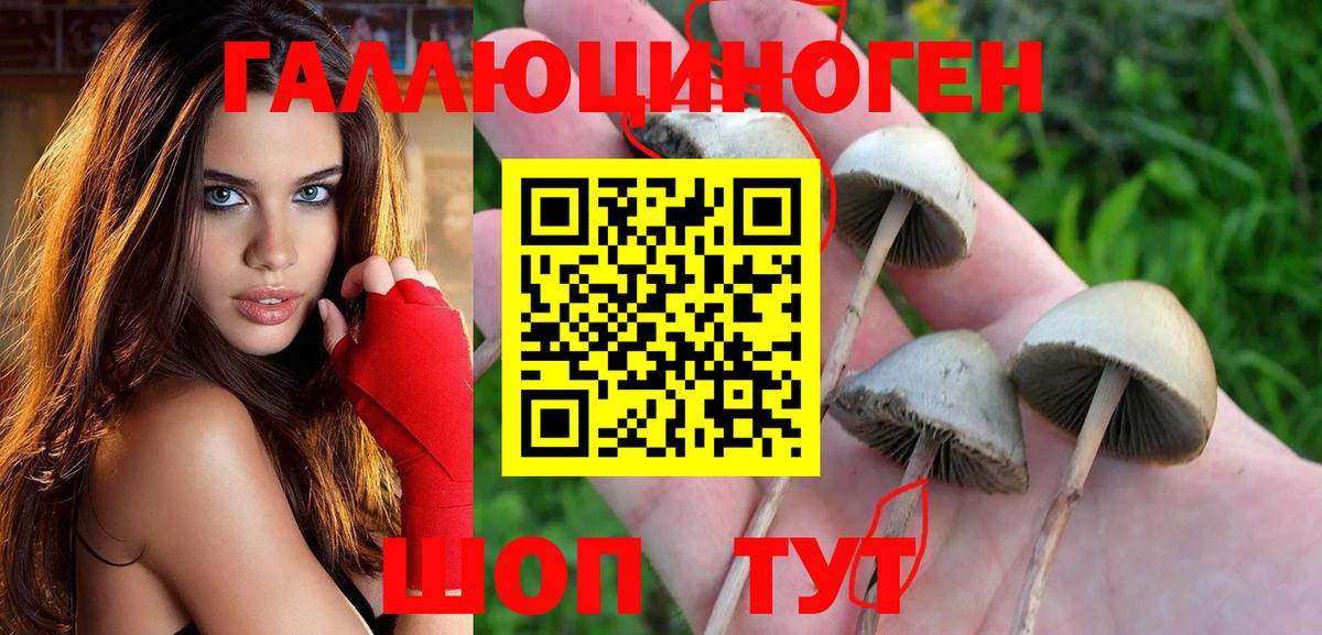 Галлюциногенные грибы прущие грибы  Вход с VPN  Унеча 