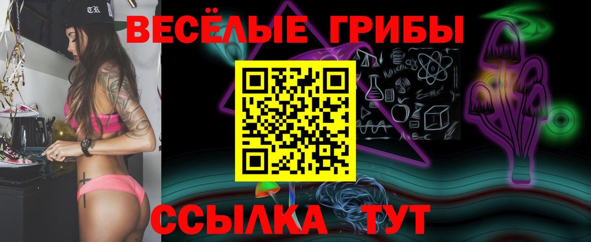 Галлюциногенные грибы прущие грибы Унеча